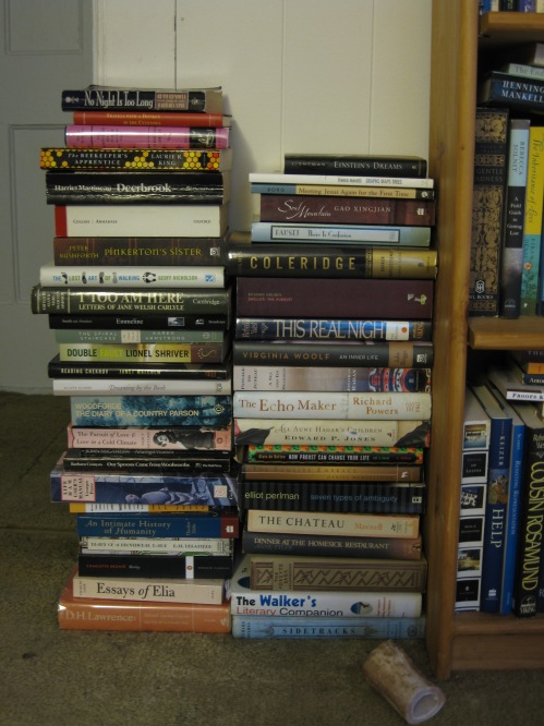 Bookshelves 002